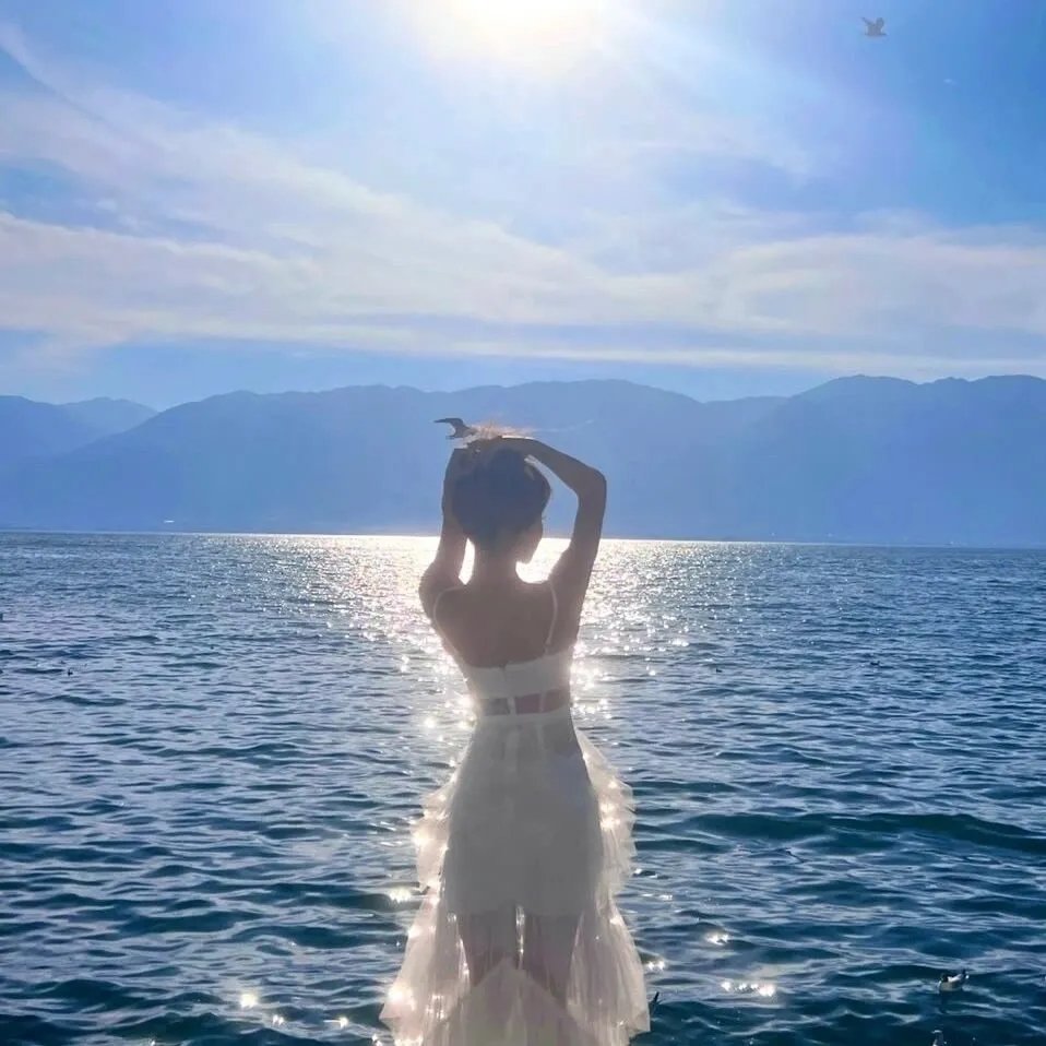 了不起的甄高贵